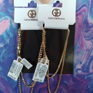 Giani  barnini c gains an earnings